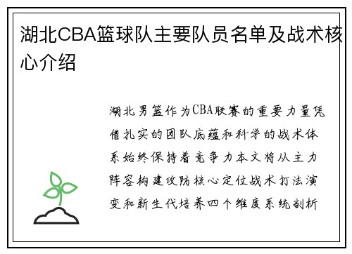 湖北CBA篮球队主要队员名单及战术核心介绍
